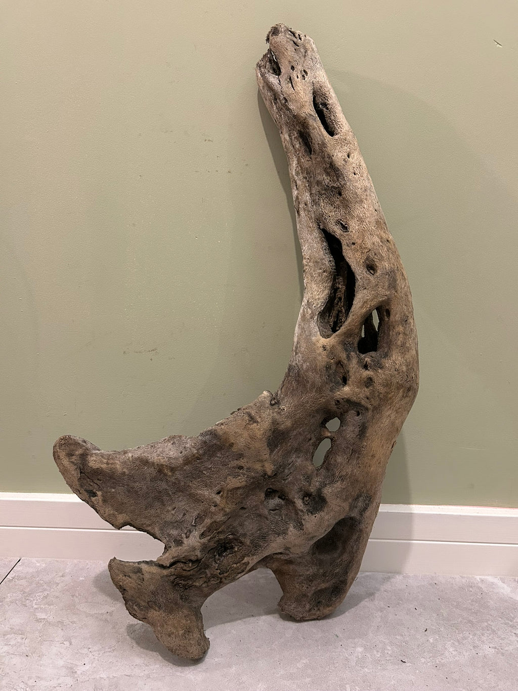 Natural Medium Driftwood