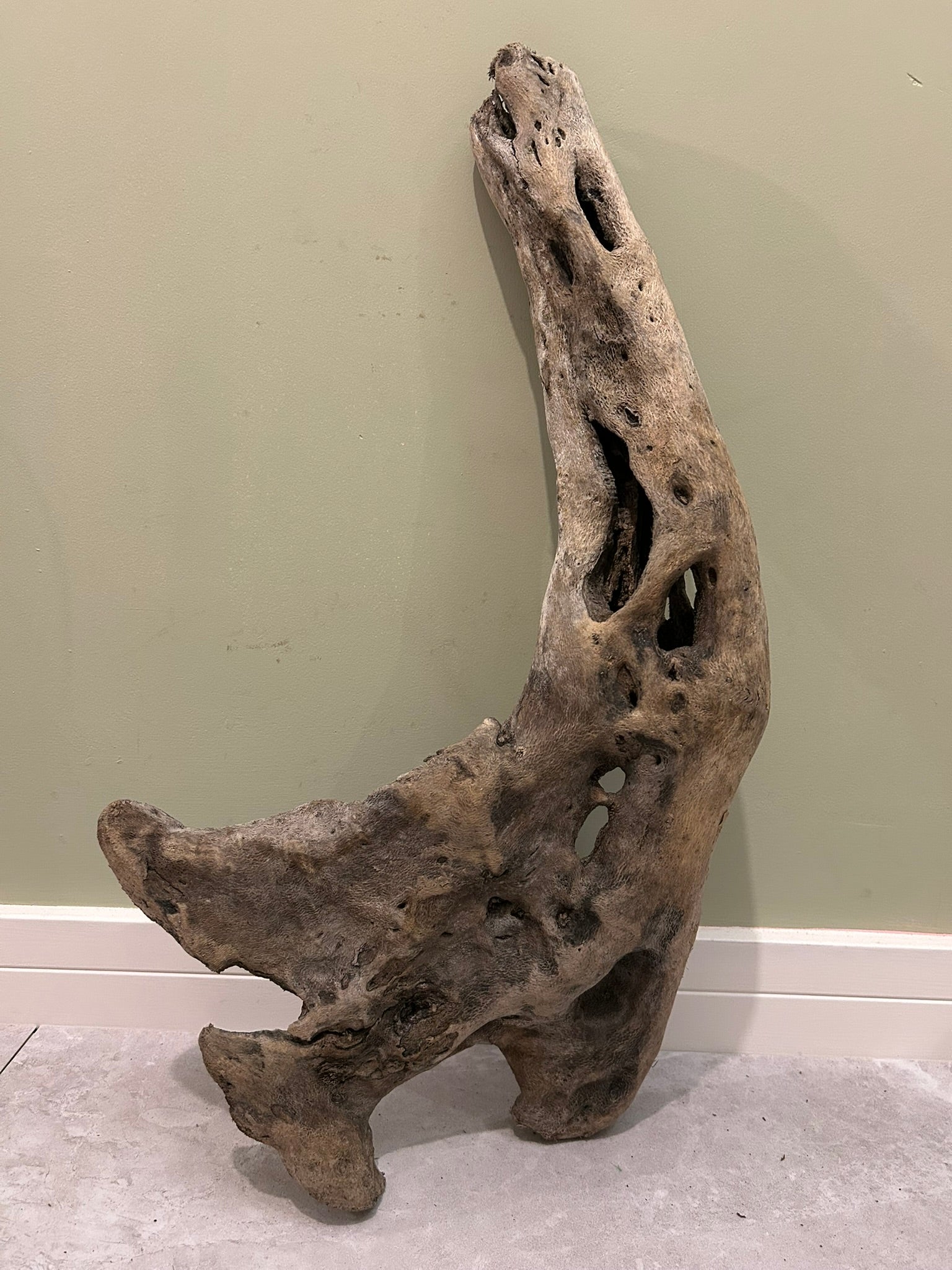 Natural Medium Driftwood