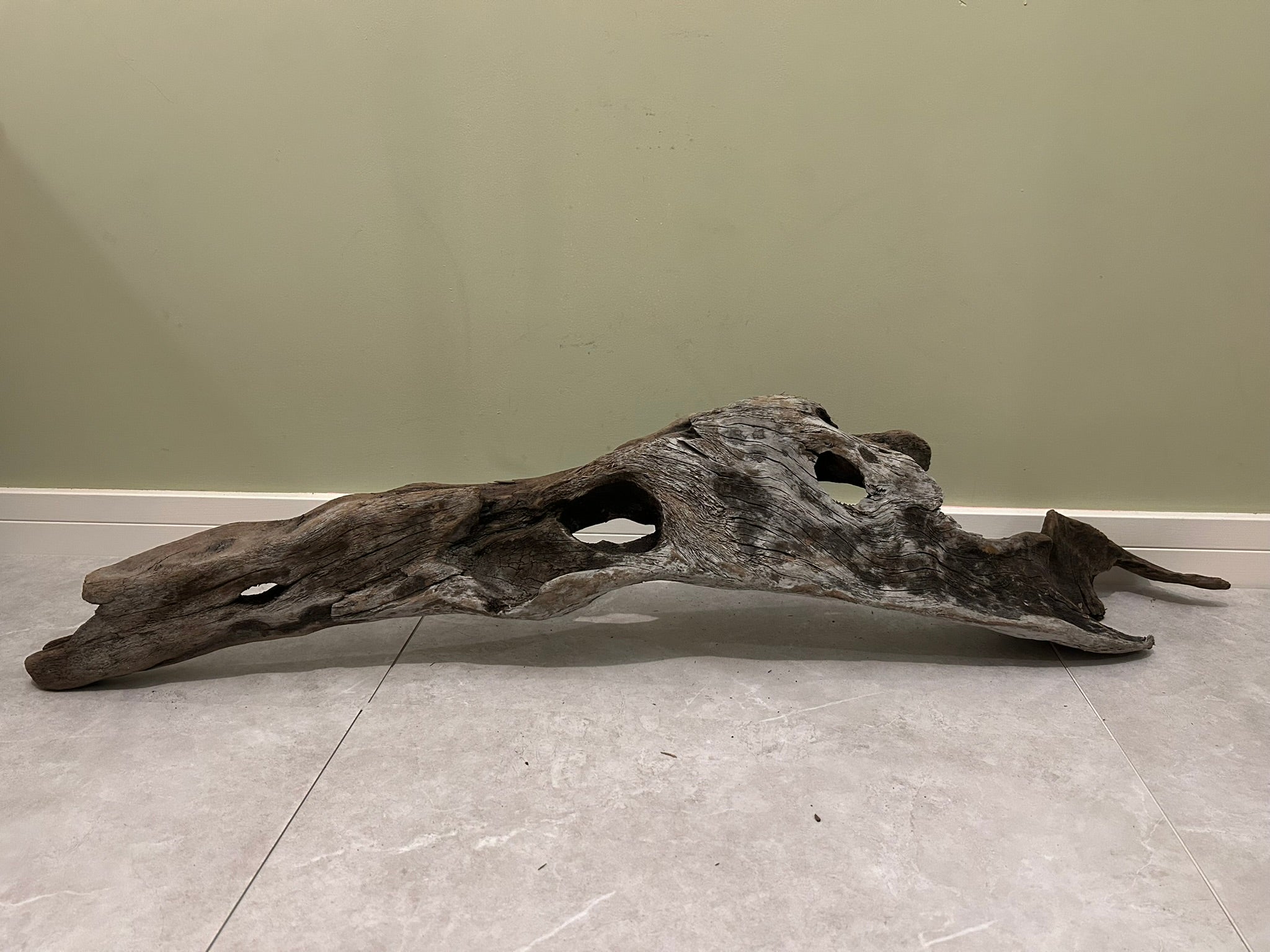 Natural Large Driftwood