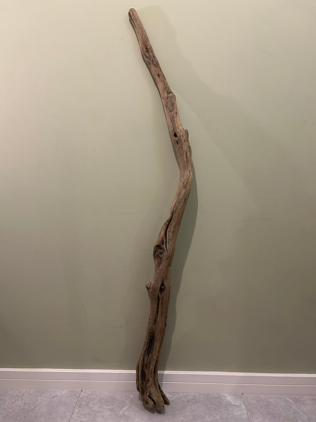 Natural Large Driftwood