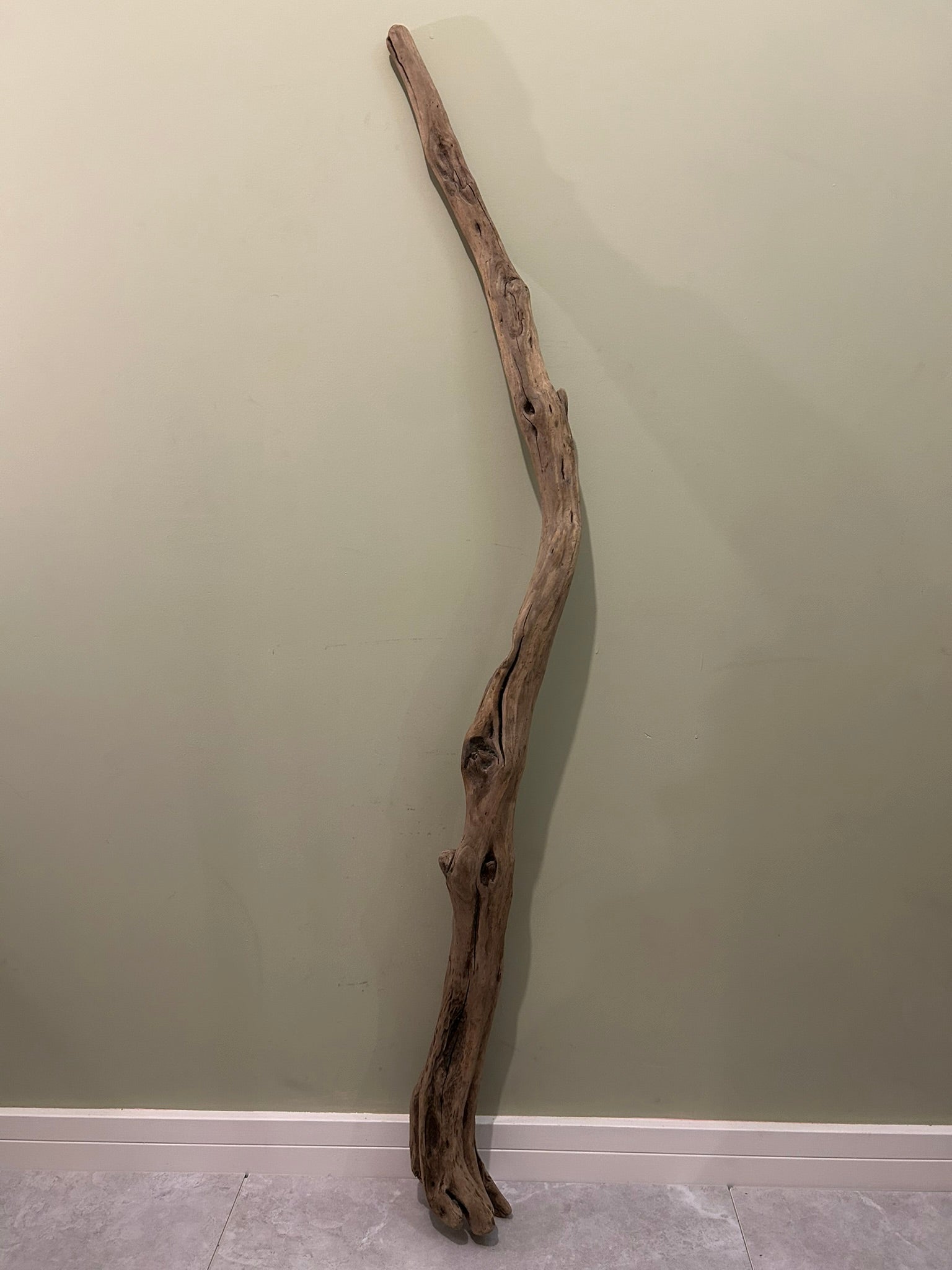 Natural Large Driftwood