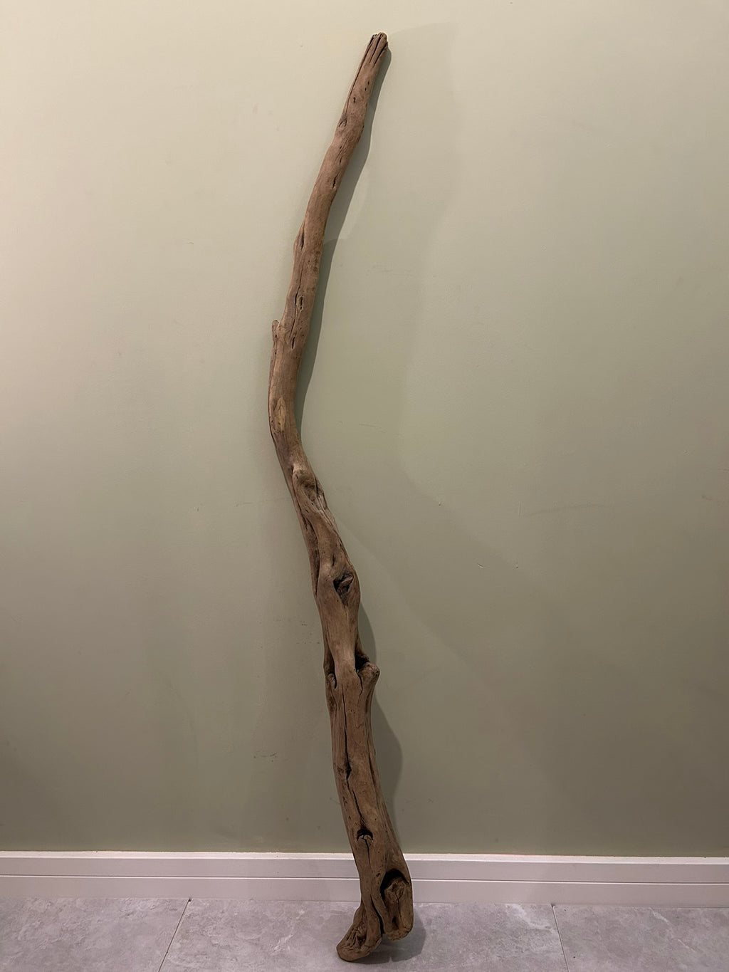 Natural Large Driftwood