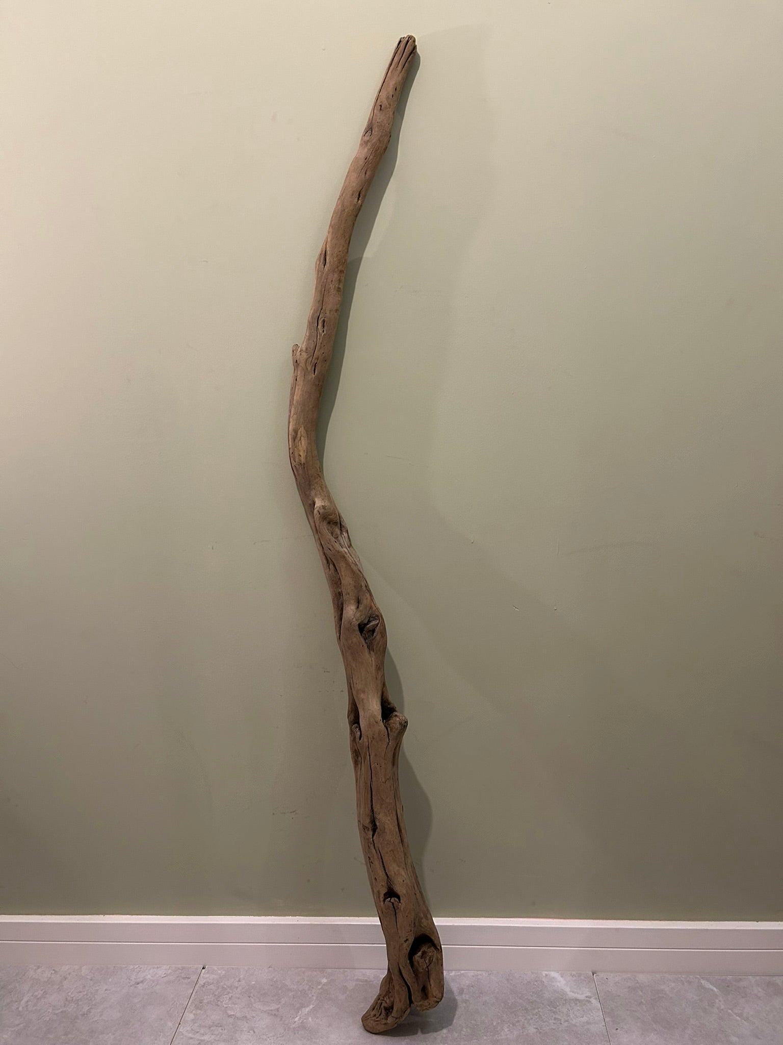 Natural Large Driftwood
