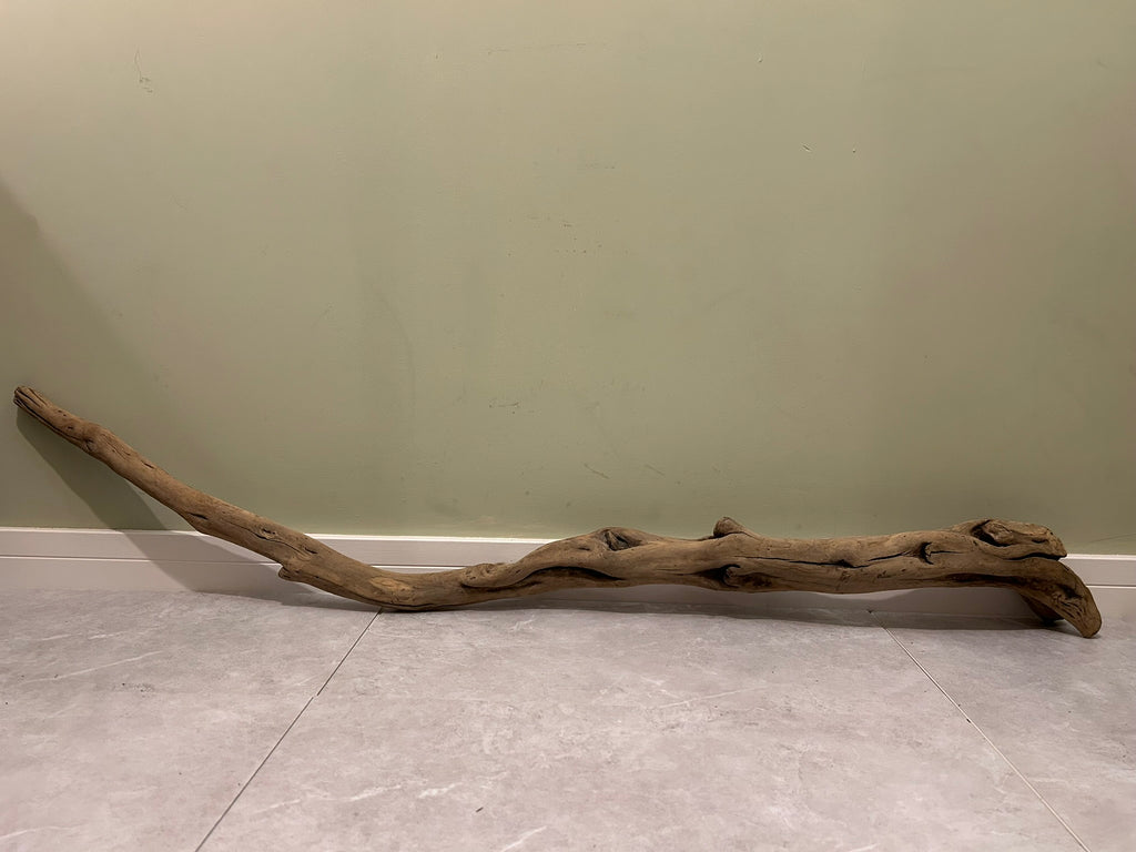 Natural Large Driftwood