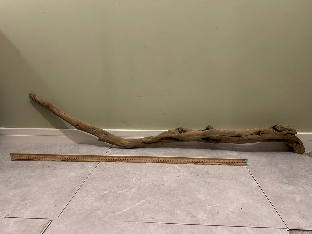 Natural Large Driftwood
