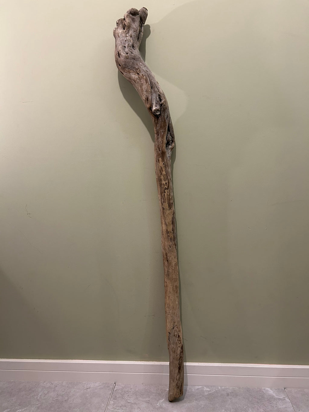Natural Large Driftwood