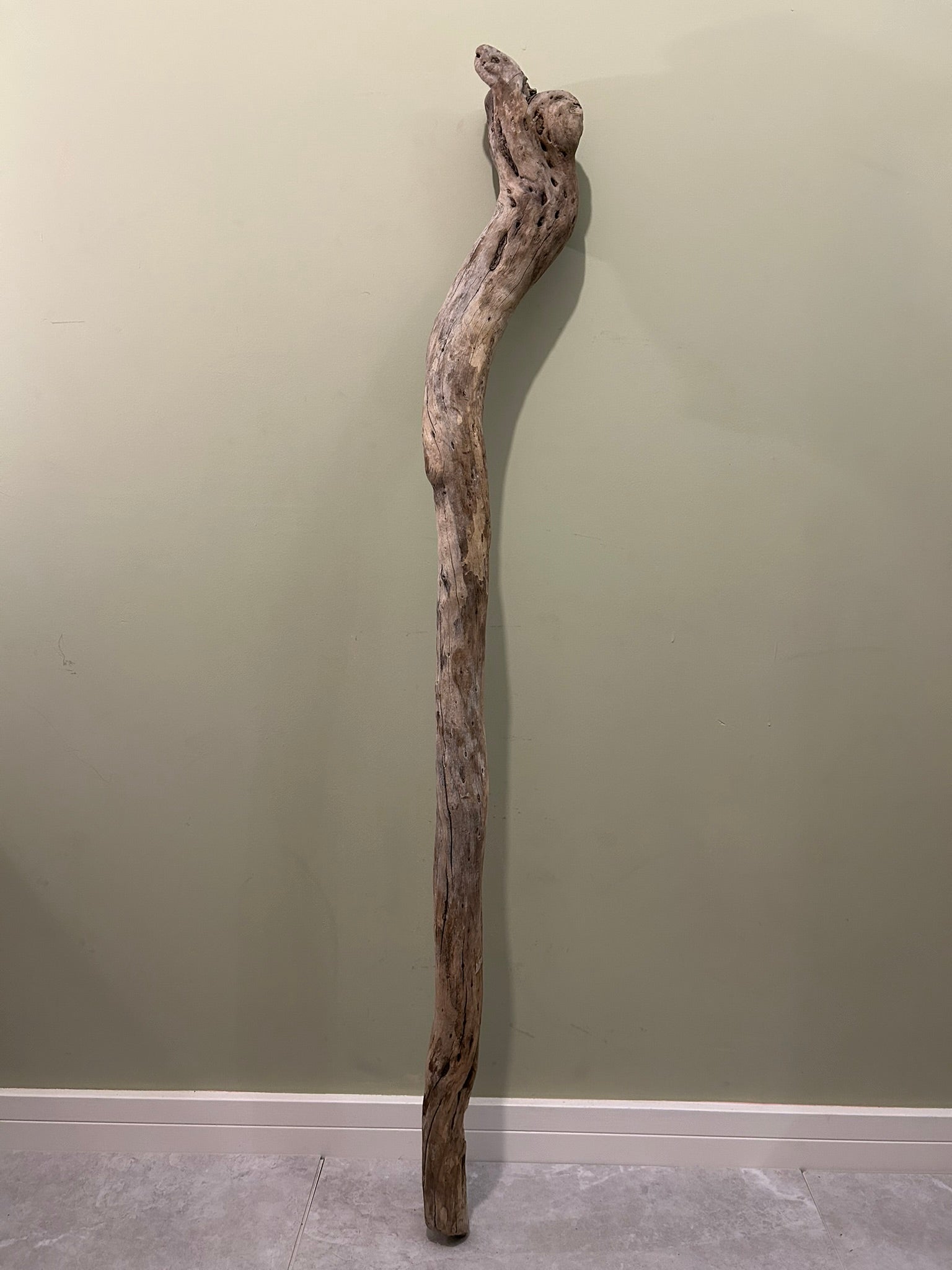 Natural Large Driftwood