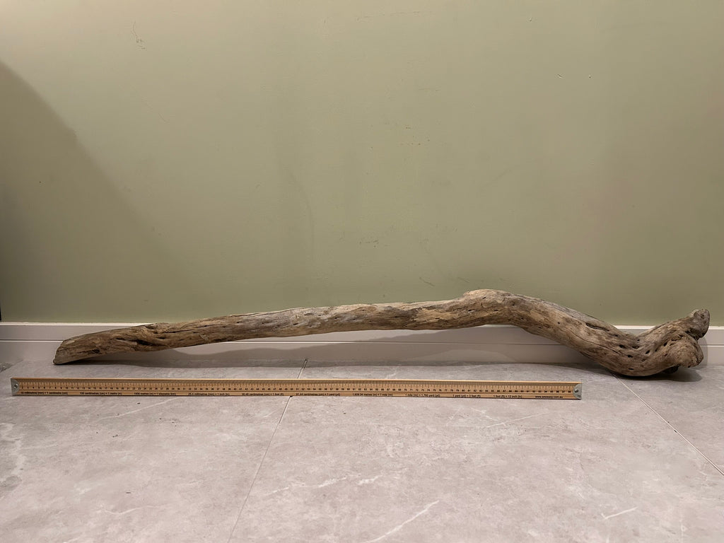Natural Large Driftwood